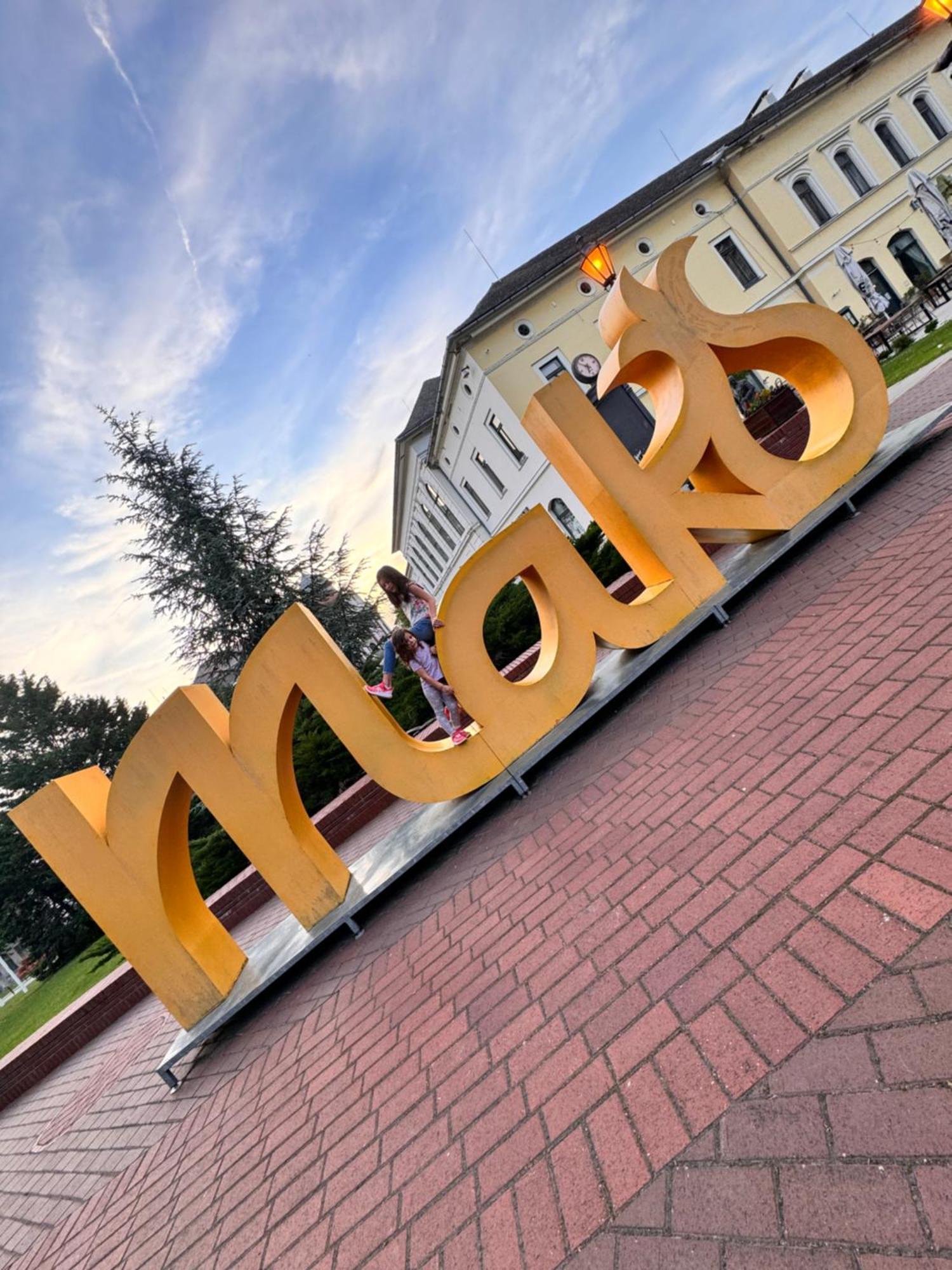 Pensiunea Schwartzy Hotel Mako Bagian luar foto